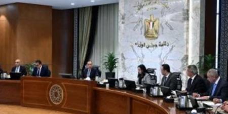 الحكومة تعلن إتاحة شريحة الطفل بباقات إنترنت آمنة يتحكم بها الأب قبل 30 يونيو