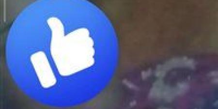 أمن الغربية يضبط سيدة ظهرت فى مقطع فيديو مخل