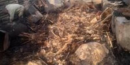 حريق يلتهم حظيرة وجهاز عروسة في قرية كفر جنزور بالمنوفية