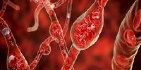 تحذيرات علمية دولية.. عامل بيئي خفي وراء ارتفاع ضغط الدم