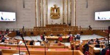 رئيس الوزراء أمام البرلمان اليوم لاستعراض بيانه بشأن مواجهة تداعيات الأزمة الاقتصادية العالمية