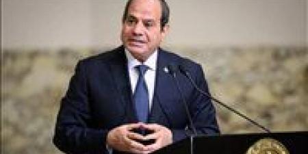 الرئيس السيسي: نرفض أي محاولات لتهجير الشعب الفلسطيني أو فرض واقع جديد