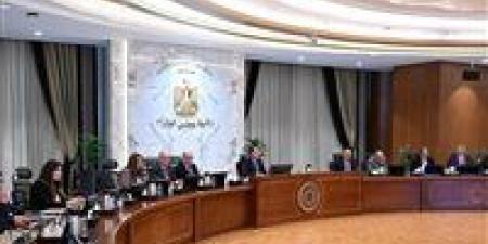 رئيس الوزراء يترأس اجتماع المجلس الأعلى للطاقة