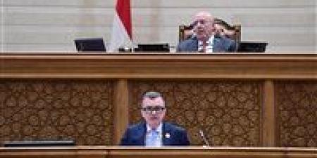 وزير التخطيط أمام البرلمان: 9 أزمات تضرب الاقتصاد العالمي بسبب الحرب.. وارتفاع النفط والتضخم في الصدارة