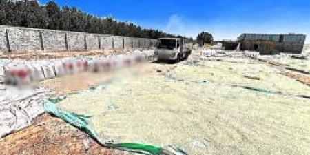 بداخله 940 طن.. ضبط خط إنتاج لغش الأسمدة والمخصبات الزراعية بالبحيرة