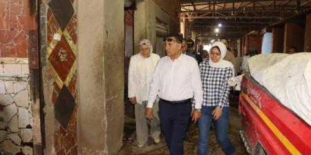 محافظ القليوبية يقود حملات تطوير شبرا الخيمة وطرح أصول للاستثمار