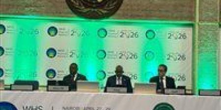 وزير الصحة يشارك في اجتماع إفريقي رفيع المستوى لتعزيز دور القارة في إصلاح النظام الصحي العالمي