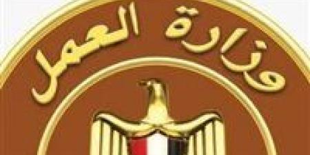 212 فرصة عمل جديدة للشباب في السويس برواتب مجزية وتخصصات متنوعة