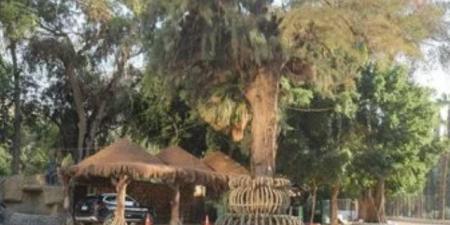 رسمياً.. تغيير إسم حديقة الحيوان بالجيزة إلى "جنينة"