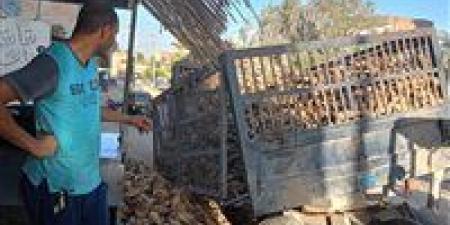 اختلال مقطورة جرار زراعي محمّلة بالبنجر في الفيوم بسبب أعمال الحفر دون إصابات