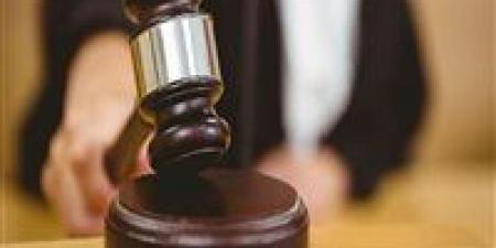 اليوم.. استكمال محاكمة المتهمين في جريمة مقتل شاب بأريمون في البحيرة