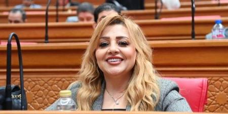 خارجية النواب: الجلسة المصرية الليبية أكدت دعم استقرار ليبيا وتعزيز التنسيق الأمني والاقتصادي بين البلدين