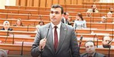 النائب حسين هريدي يتقدم بطلب إحاطة بشأن إعلانات المراهنات الإلكترونية داخل استاد القاهرة