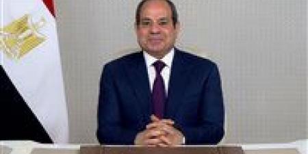 الرئيس السيسي: مصر ستظل شريكًا فاعلًا فى دعم مسيرة التنمية والبناء بالدول الإفريقية الشقيقة