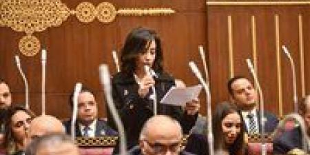 عضو خارجية الشيوخ : فتح سفارة لكيان انفصالي بالقدس انتهاك فاضح لقرارات مجلس الأمن