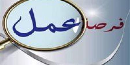 وزارة العمل تعلن عن 45 فرصة عمل بشركة “الأخوة لصناعة السيراميك” بالسويس