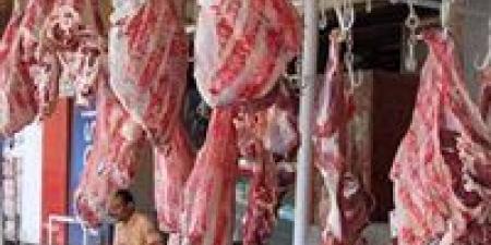 خطة طوارئ تموينية لعيد الأضحى: ضخ لحوم طازجة بخصومات تصل إلى 30% وتأمين الخبز البلدي