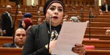 النائبة جيهان شاهين في اليوم العالمي لحفظة السلام: نعتز بالدور المصري في دعم الأمن والسلم الدوليين
