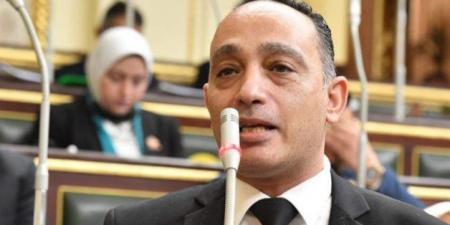 النائب فريدي البياضي لـ " تحيا مصر": مسارحديثي الولادة خطوة إيجابية ونطالب بـ ضمان تطبيقه فعليًا في كل المحافظات