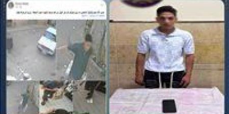 خطفه في ثوانٍ.. ضبط المتهم بسرقة هاتف فتاة في البحيرة