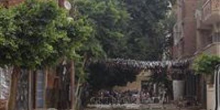 الوحدة المحلية بمركز مغاغة بالمنيا تأمر بإزالة البرج المتسبب في وفاة سيدة بتنفيذ فوري