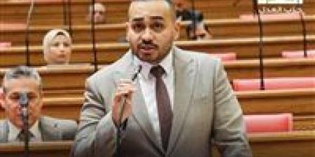 النائب أحمد ناصر يتقدم بطلب إحاطة بشأن جدوى المناطق الحرة الخدمية وأثرها على تنمية صادرات الخدمات