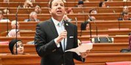 النائب حسن عمار لـ تحيا مصر: الهدوء الإقليمي وعودة الملاحة بقناة السويس بشكل طبيعي يفتح الباب أمام صعود الجنيه مجددًا