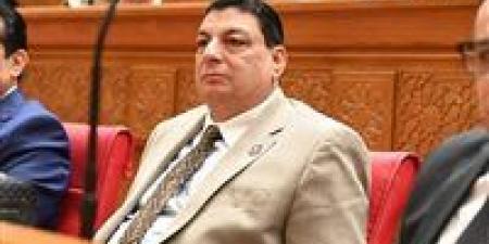 سامي نصرالله: تأكيد الرئيس السيسي دعم وحدة السودان يجسد الدور المصري المحوري في حماية أمن واستقرار المنطقة