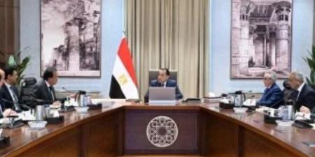 رقم تاريخى.. رئيس الوزراء: توريد 4.6 مليون طن قمح من المزارعين حتى الآن