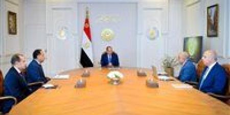 عاجل.. الرئيس السيسي يجتمع مع رئيس الوزراء ووزير الكهرباء