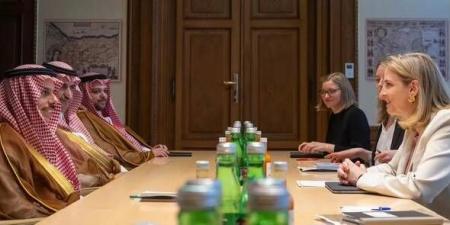 السعودية والنمسا تبحثان توسيع الشراكة في الطاقة والاستثمار