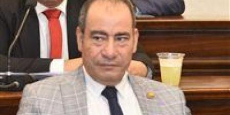مجاهد نصار: لقاء السيسي ورئيسة المفوضية الأوروبية يعكس ثقل مصر الدولي ويفتح آفاقًا جديدة للشراكة الاقتصادية