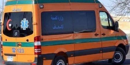 تفاصيل إصابة سيدتين في مشاجرة بالدقهلية