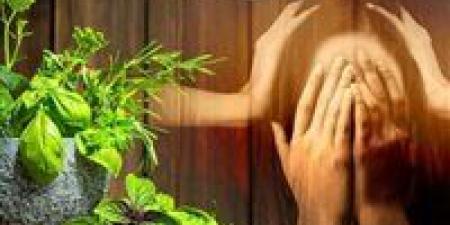 "علاج القلق والاكتئاب".. أسرار لاستعادة سلامك النفسي