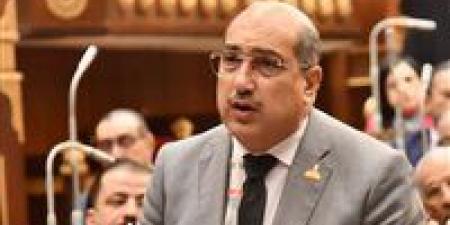 نحتاج استراتيجية ثابتة لـ 10 سنوات لا تتغير.. النائب إيهاب وهبة: الصناعة هي الحل الوحيد للخروج من التحديات الاقتصادية الراهنة