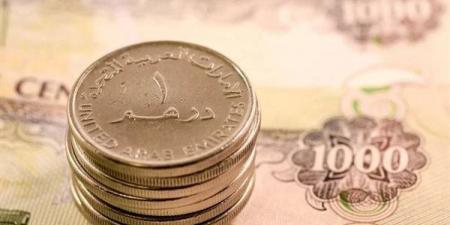 سعر الدرهم الإماراتي أمام الجنيه في البنك الأهلي اليوم الأحد 28- 6- 2026