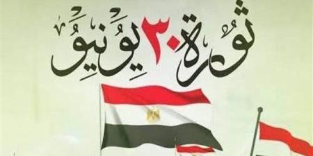 الجبهة الوطنية: ثورة 30 يونيو رفضت اختطاف الدولة المصرية والعبث بمؤسساتها
