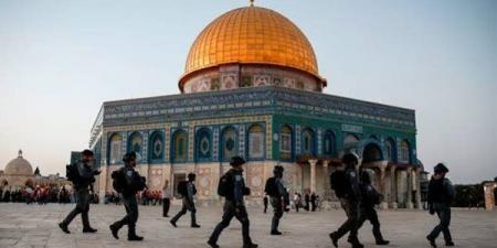اللجنة الملكية لشئون القدس تحذر: 542 مستوطنة وبؤرة استيطانية تهدد الوجود الفلسطينى
