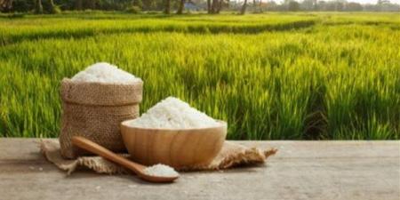 استقرار سعر الأرز بالأسواق اليوم الثلاثاء