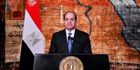 السيسي: مفهوم الدولة يتجاوز توفير متطلبات الحياة المعيشية اليومية