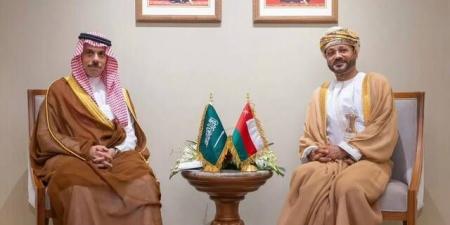 السعودية وعُمان تبحثان أمن مضيق هرمز وتعزيز التعاون الاستراتيجي