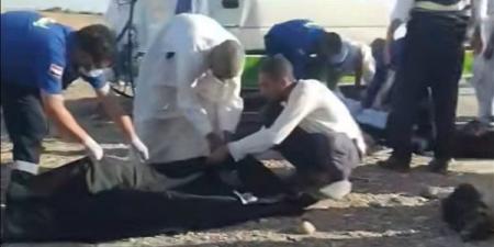 مصرع شخصين وإصابة 5 آخرين في حادث تصادم بالطريق الدولي بالمحلة
