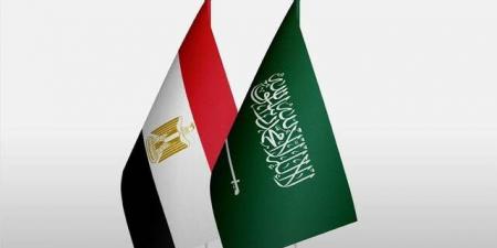 اجتماع سعودي مصري لتعزيز التعاون في مجال الدفاع المدني