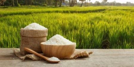 سعر الأرز في السوق اليوم الأحد