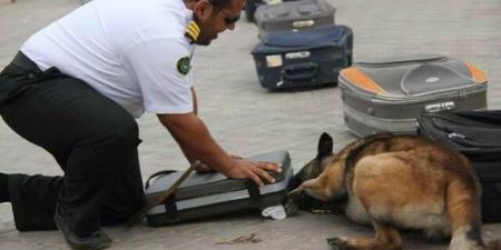 1131 حالة ضبط لممنوعات بالمنافذ الجمركية خلال أسبوع