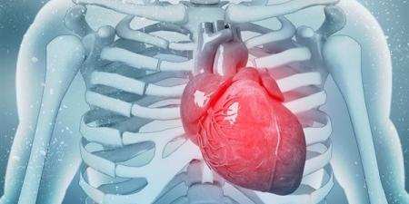 5 فيتامينات ضرورية لحماية القلب، ونقصها يسبب مضاعفات خطيرة