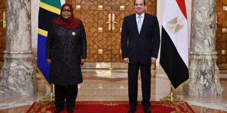 أفريقية النواب: زيارة الرئيس السيسي إلى تنزانيا تحقق التنمية داخل القارة