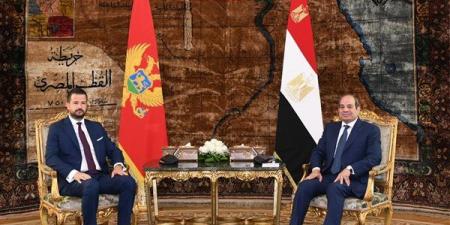 السيسي يبحث مع رئيس الجبل الأسود تعزيز التعاون الاقتصادي وأزمات الشرق الأوسط (فيديو)