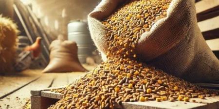 ارتفاع الصويا وانخفاض الذرة والردة، أسعار الأعلاف والحبوب اليوم في الأسواق