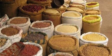 انخفاض الذرة والصويا، أسعار الأعلاف والحبوب اليوم في الأسواق